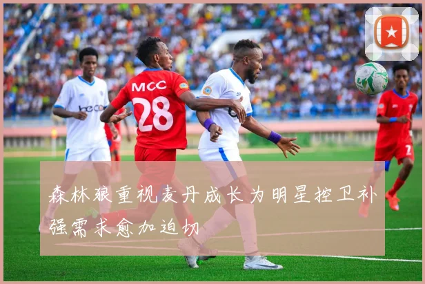 森林狼重视麦丹成长为明星控卫补强需求愈加迫切