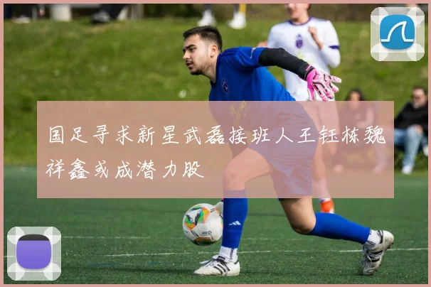 国足寻求新星武磊接班人王钰栋魏祥鑫或成潜力股